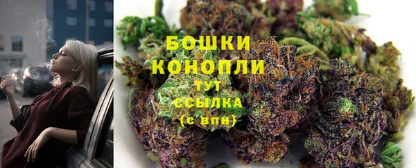 spice Аркадак