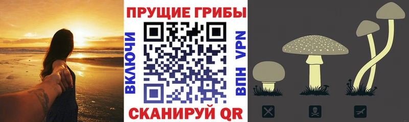 Галлюциногенные грибы мицелий  Саратов 